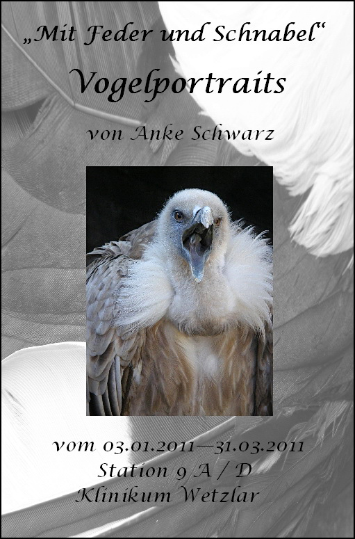 Plakat Vogelportraets