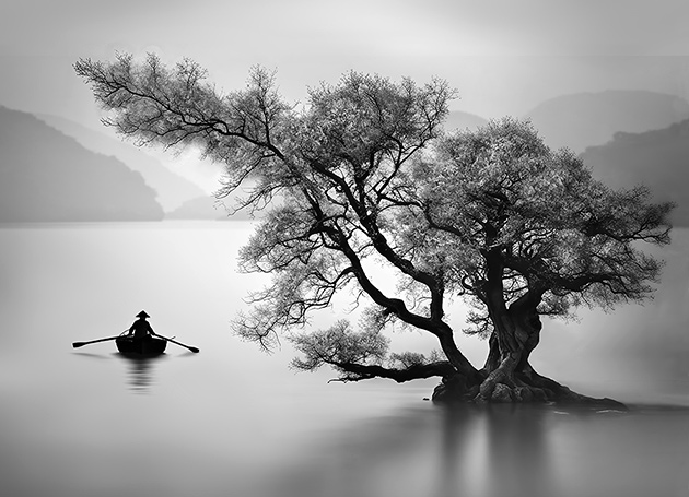 Baum Myanmar